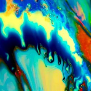 Meet your Posher, Jake